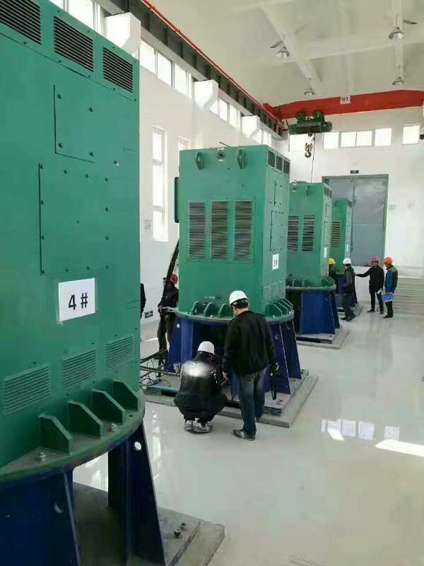 旬邑某污水处理厂使用我厂的立式高压电机安装现场