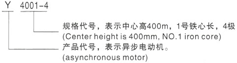 西安泰富西玛Y系列(H355-1000)高压旬邑三相异步电机型号说明